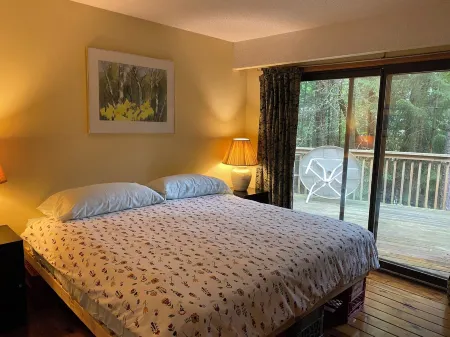 Lake side cottage w- sand beach. 13 acres-forest, steams & waterfalls to explore