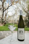 Wild Olive Cottage  Clare Valley