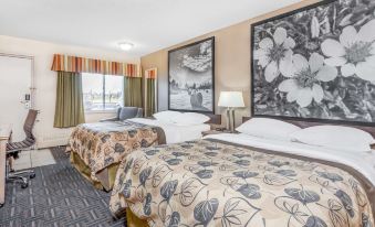 Super 8 by Wyndham Stettler
