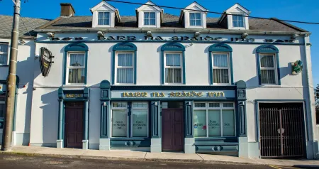 Barr Na Sraide Inn Отели в г. Дингл