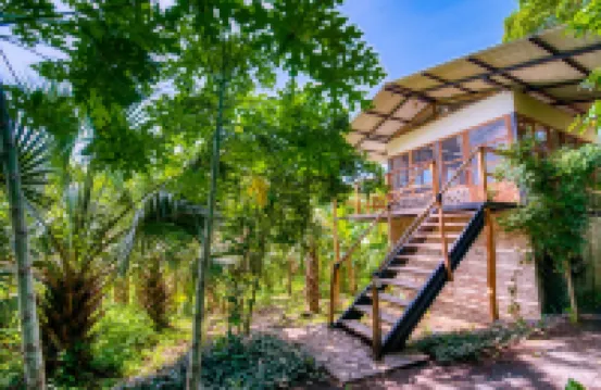 셀비스타 게스트하우스  호텔