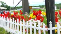 Budget Host Airport Inn Hotel di Waterville