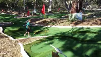 Bimbi Park - Camping under Koalas - stanze in case private