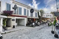 Lotus Köyiçi Otel - واي فاي