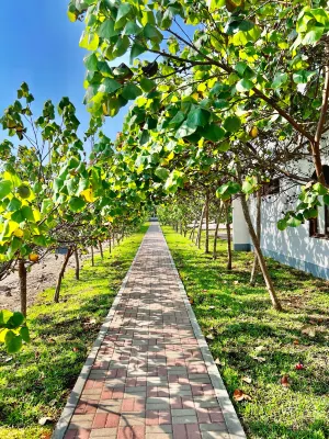 DM Hoteles Asia Hotels in Canete Province