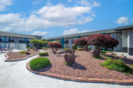 Hotel Elev8 Flagstaff, Trademark Collection by Wyndham