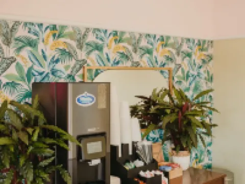 聖奧古斯丁當地人 聖奧古斯丁酒店