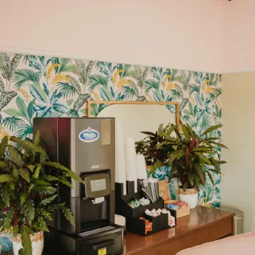 The Local - St. Augustine