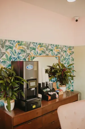 The Local - St. Augustine