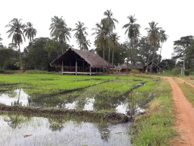 Kamatha Resort Hotels near Lotus Pond (Ancient Nelum Pokuna)