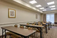 Comfort Inn & Suites Airport