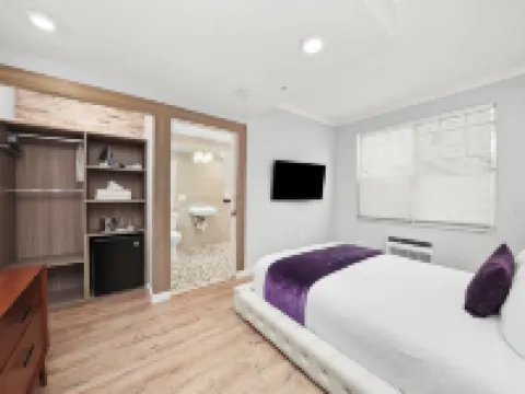 โรงแรมเชลลีย์ โรงแรมในไมอามีบีช