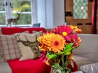 Little Haven Hoteles en West Somerset