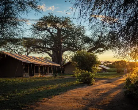 Baobab Tented Camp Hotels in Babati