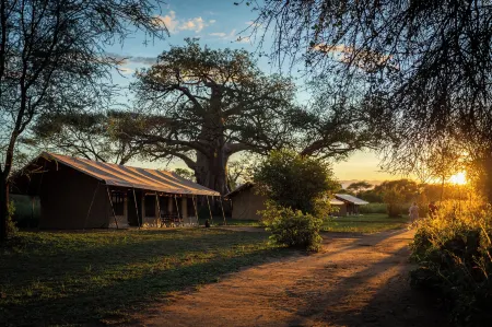 Baobab Tented Camp Отели в г. Babati