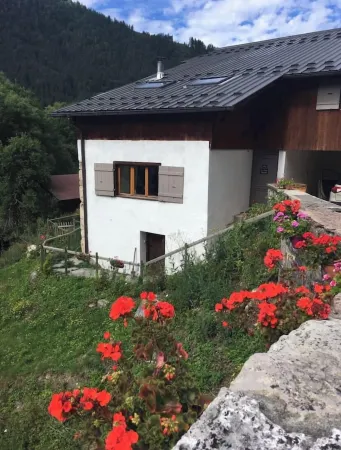 Ski / Summer Chalet in Bas Thex near Morzine