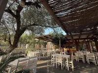 Hotel Stolis