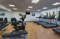 Hyatt Place Managua - Gym