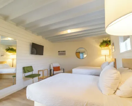 Driftwood Motel Hotels in 