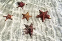 West Bay Oasis: 2BR Condo w/Pool