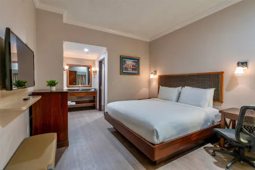 Wyndham Garden Baronne Plaza New Orleans - 3-Star