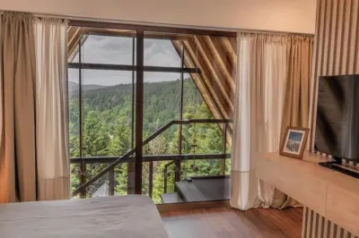 Modern 5-bedroom villa in Kopaonik with stunning mountain views Hôtels à : 