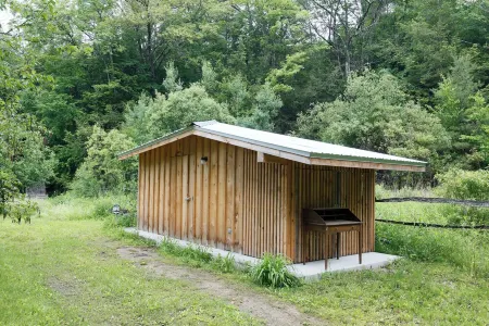 Light-filled cottage