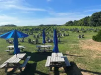 Charming Beach Cottage, Steps to Beach, Enjoy Scenic Vineyards & Farm Stands