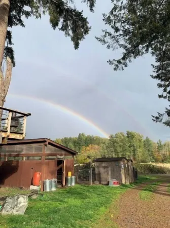 Sun Cabin at Left Foot Farm