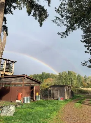 Sun Cabin at Left Foot Farm