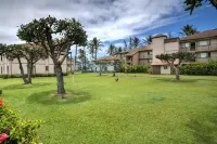 Recently Updated Beachfront Oceanfront Condo! Walk to Old Town Kapa'a Hotels in Kapaa