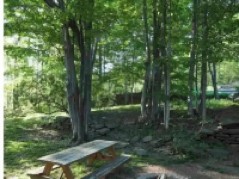 Never Lonesome Hunter: Smart 4bd Getaway near Mtn 亨特酒店