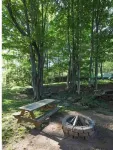 Never Lonesome Hunter: Smart 4bd Getaway near Mtn