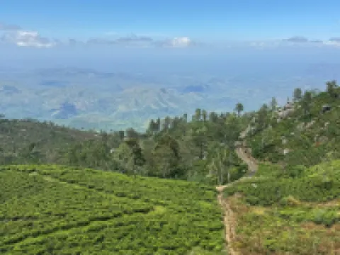 Seraphic Hills Hotels in Haputale