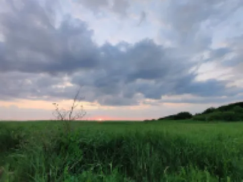 Reposeful Holiday Home in Skjern Near Sea