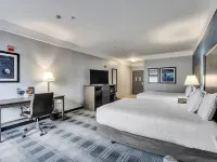 Platinum Inn & Suites Webster