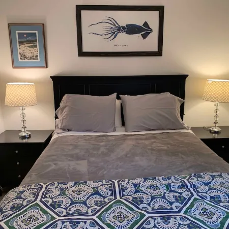 3 Bed 2.5 Bath House & Save 75 Dollars on Rental Car,  May - June 2026