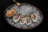 Mim Baqueira Member of Melia Collection