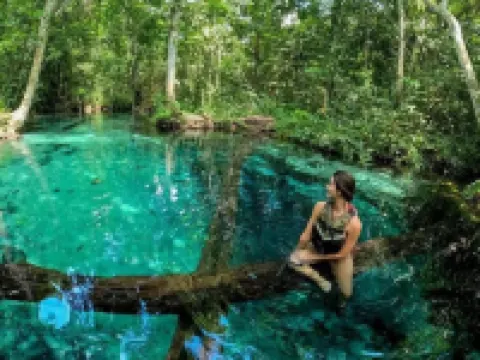 カーサ フロール ド イペ ホームズ ノブレスのホテル