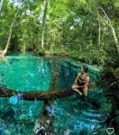 Casa Flor do Ipê Homes Hotels in Nobres