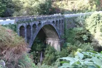 House Villa Butterfly