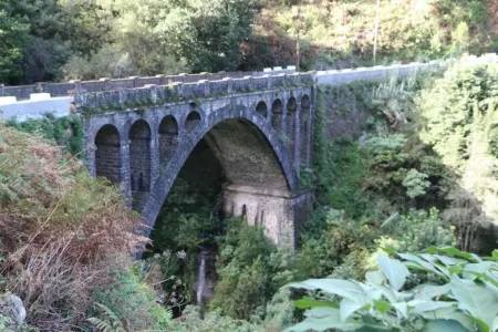 House Villa Butterfly