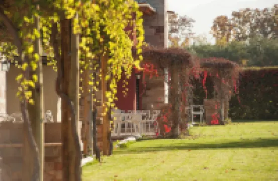 德拉蒙德的馬加斯