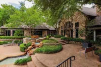 Furnished Apartments Next to the Domain