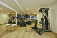 弗拉明戈別墅酒店 - 健身室/gym room