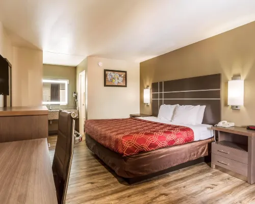 Econo Lodge Inn & Suites Hotels in Murfreesboro