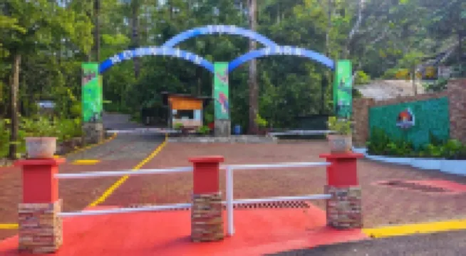 Mountain Top Park Hotel