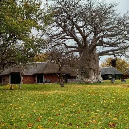 Munati B&B