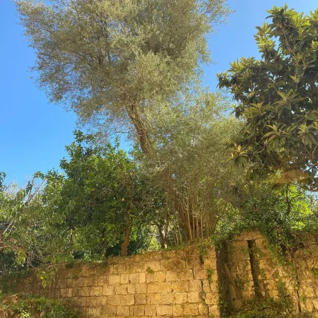 Maramà B&B Sorrento