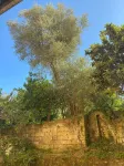 Maramà B&B Sorrento